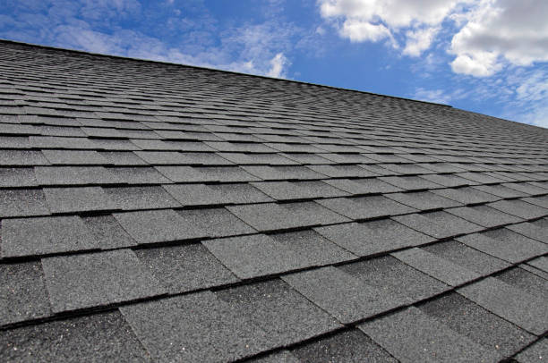 Best Wood Shake Roofing  in Freeland, MI