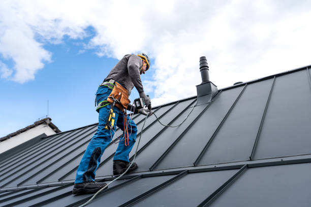 Best Asphalt Shingle Roofing  in Freeland, MI