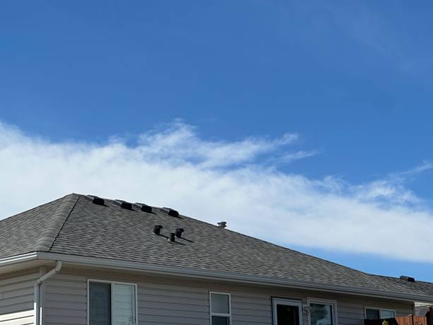 Gutter Replacement in Freeland, MI